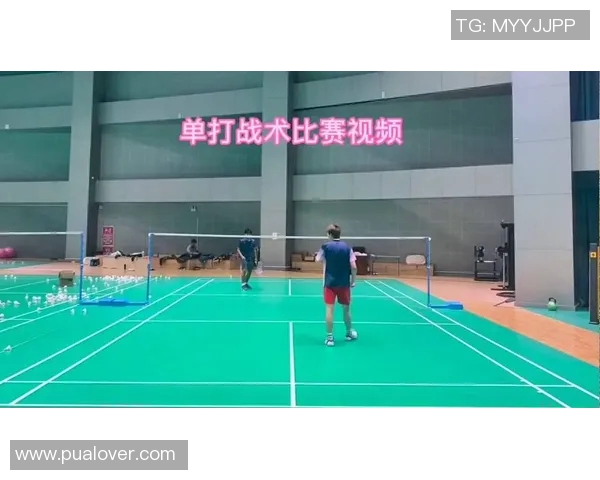 羽毛球赛事技术动作视频分析与训练应用