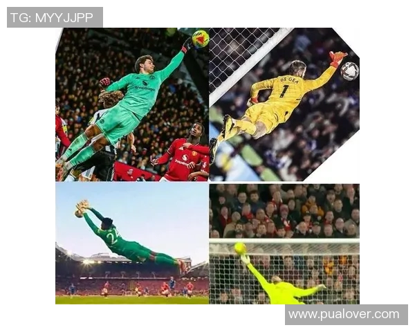 英超门将扑救数据对比及赛季整体表现深度分析 英超门将扑救数据对比及赛季整体表现深度分析