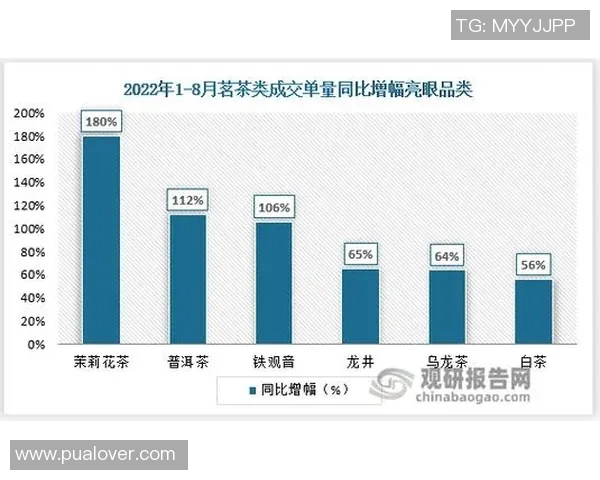 全面分析球员赛季表现与数据变化趋势的统计报告